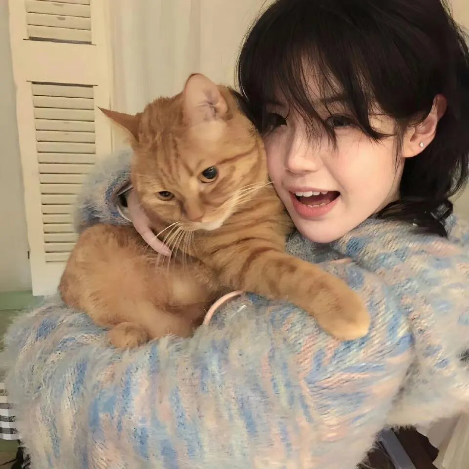 猪八戒吃西瓜
